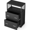 Tribesigns 2 - Drawer File Cabinet, Letter/Legal / A4 Size Filing Cabinet with Lock* File Cabinets | File Cabinets