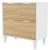 Tribesigns Wood File Cabinet, 2-Drawer Storage Cabinet for A4/Letter/Legal Size* File Cabinets | File Cabinets